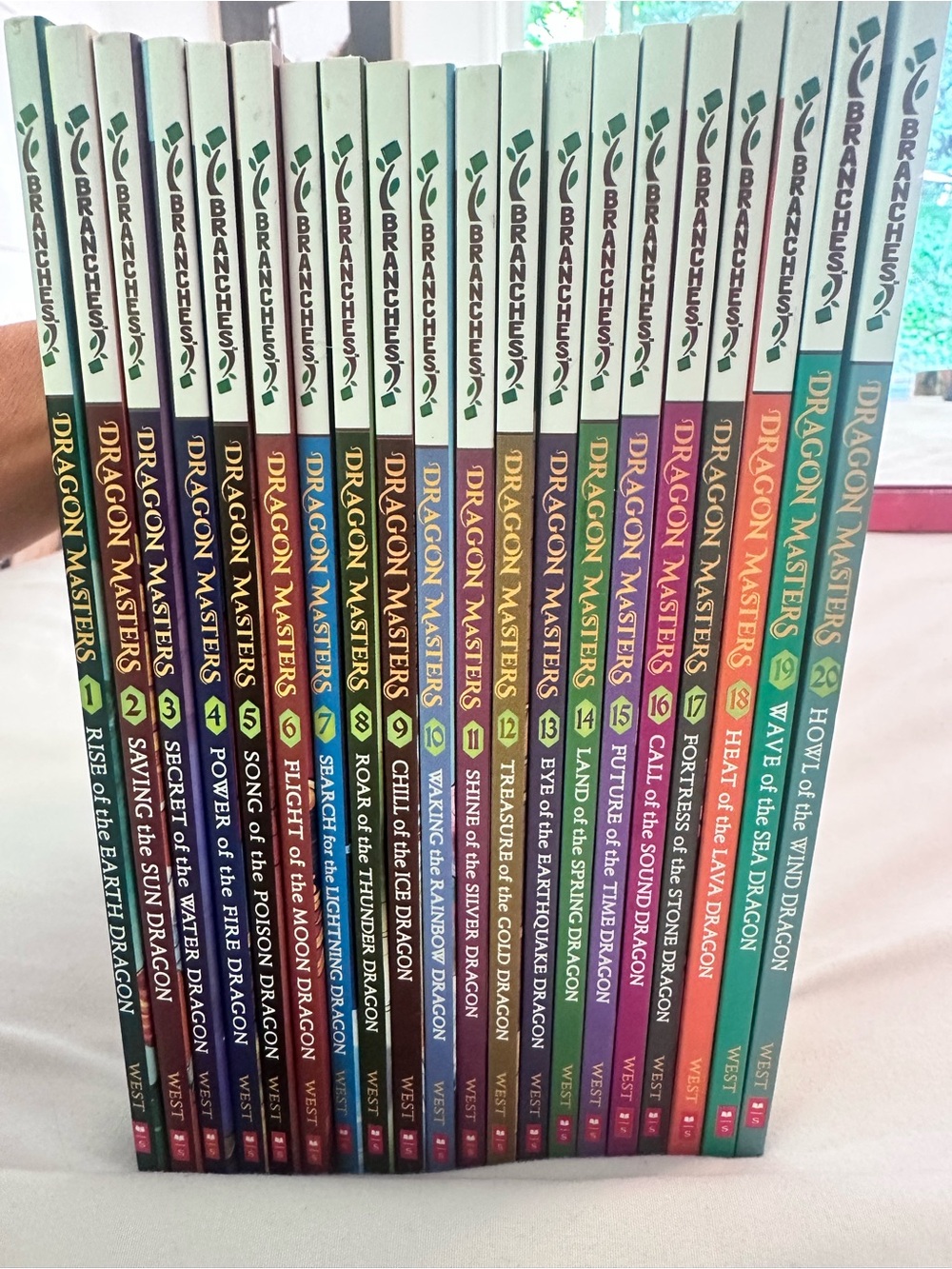 Dragon Masters Paperback Book Lot - books 1-20